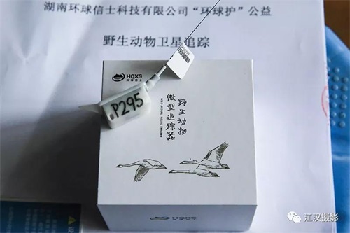 乐博体育app下载,湖南野生动物追踪,湖南卫星追踪器,湖南追踪器