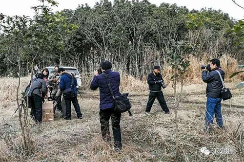 乐博体育app下载,湖南野生动物追踪,湖南卫星追踪器,湖南追踪器