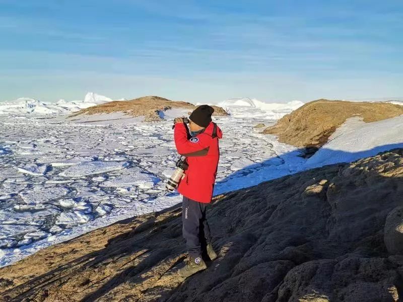 乐博体育app下载,湖南野生动物追踪,湖南卫星追踪器,湖南追踪器