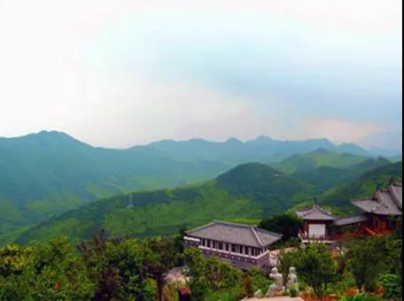 攸县兴林油茶,油茶苗,油茶果,轻基质杯苗,裸根苗,油茶苗价钱,油茶苗批发,油茶苗基地