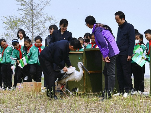 乐博体育app下载,湖南野生动物追踪,湖南卫星追踪器,湖南追踪器