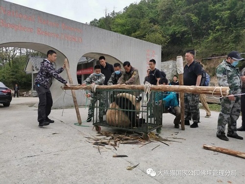 乐博体育app下载,湖南野生动物追踪,湖南卫星追踪器,湖南追踪器