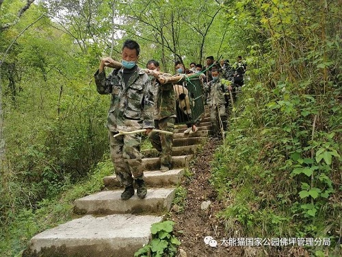 乐博体育app下载,湖南野生动物追踪,湖南卫星追踪器,湖南追踪器