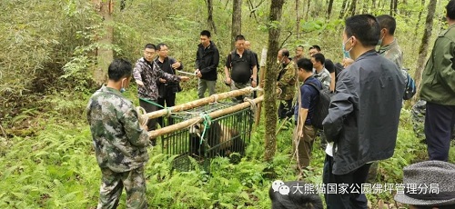 乐博体育app下载,湖南野生动物追踪,湖南卫星追踪器,湖南追踪器