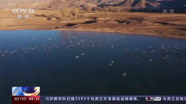 乐博体育app下载,湖南野生动物追踪,湖南卫星追踪器,湖南追踪器