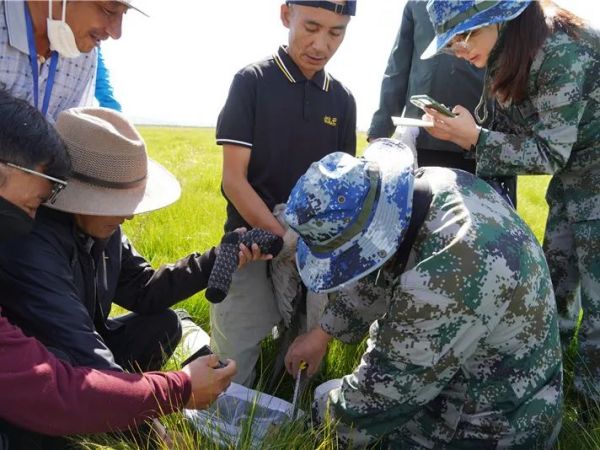 乐博体育app下载,湖南野生动物追踪,湖南卫星追踪器,湖南追踪器