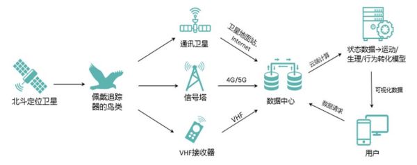 乐博体育app下载,湖南野生动物追踪,湖南卫星追踪器,湖南追踪器